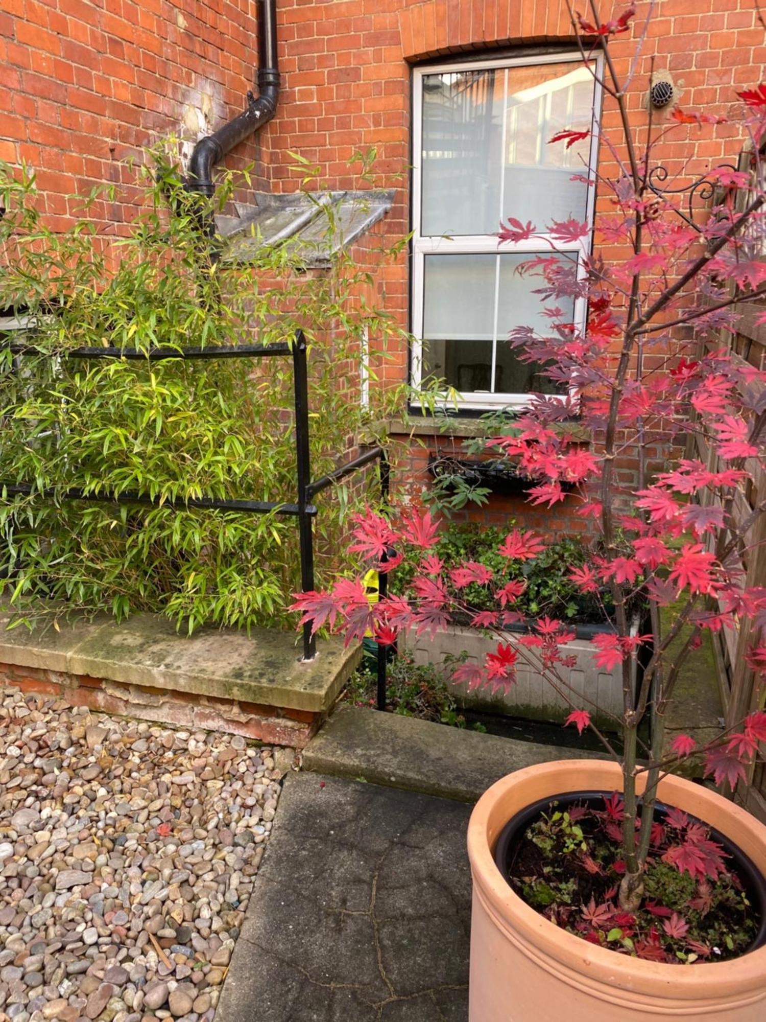 Deluxe Three Bed Bnb In Henley-On-Thames Near Station River & Town Centre エクステリア 写真